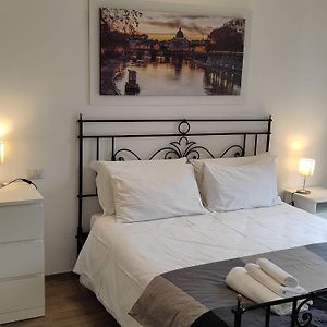 White King Rooms
